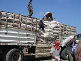 Djibouti - il mercato di Gibuti - Djibouti Market - 60